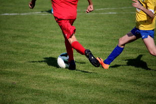 Jiuyou-中小学篮球教研活动不断创新教学方法提升训练效果，篮球教研活动总结